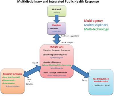 Rapid Multilateral and Integrated Public Health Response to a Cross-City Outbreak of Salmonella Enteritidis Infections Combining Analytical, Molecular, and Genomic Epidemiological Analysis